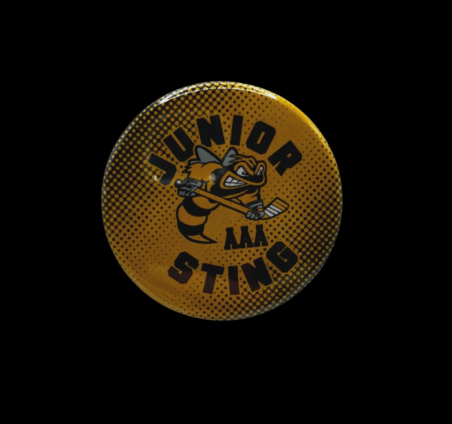 Lambton Jr. Sting AAA Magnet