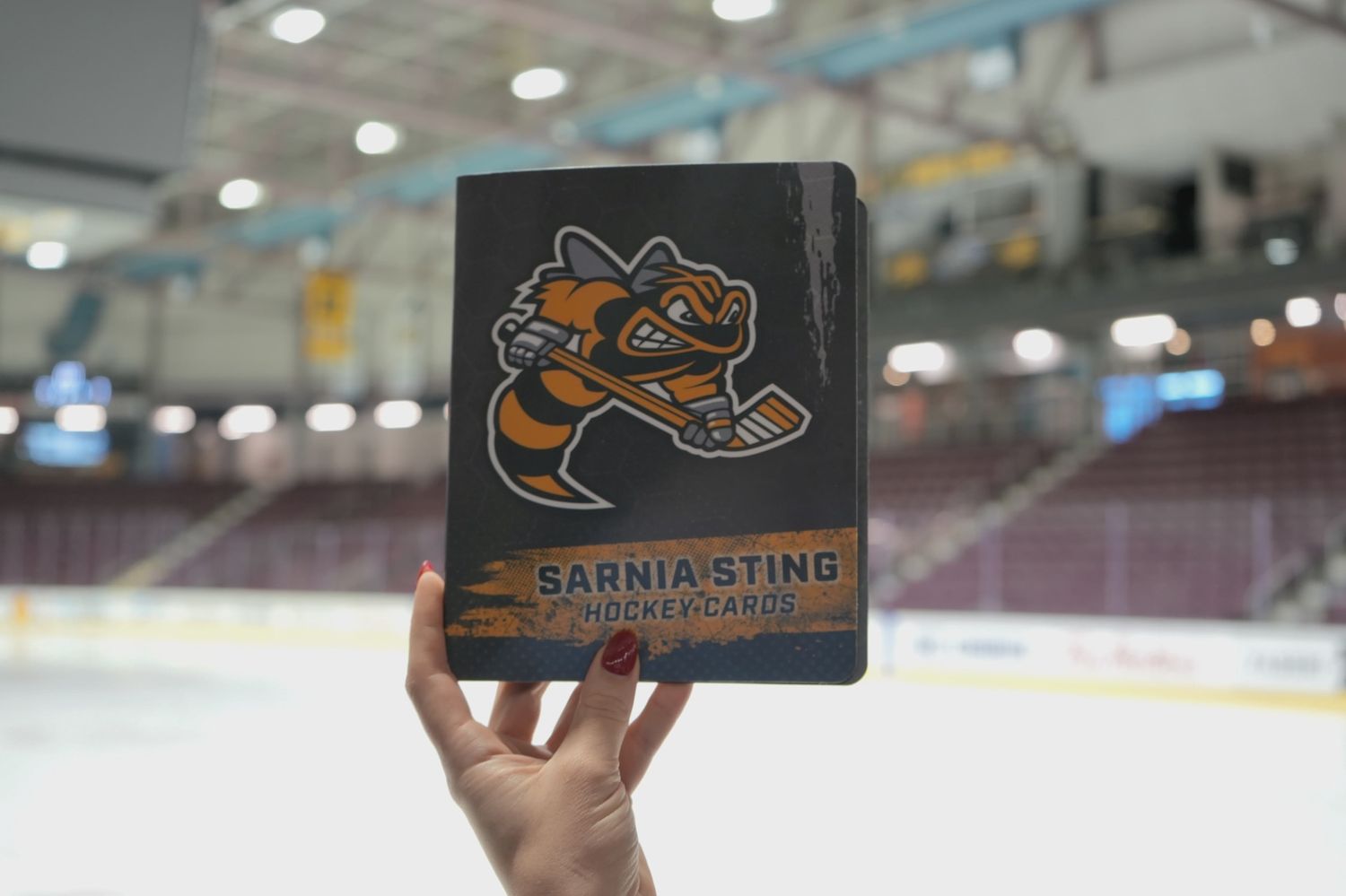 Player Card Binder