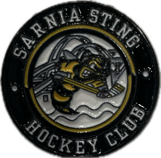 Enamel Lapel Pin