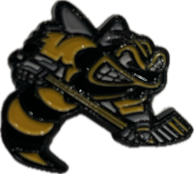 Enamel Lapel Pin