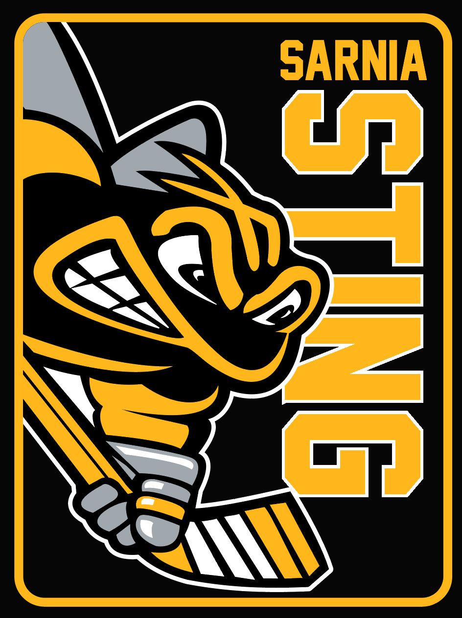 Sting Sublimated Microfleece Blanket - 30" x 40