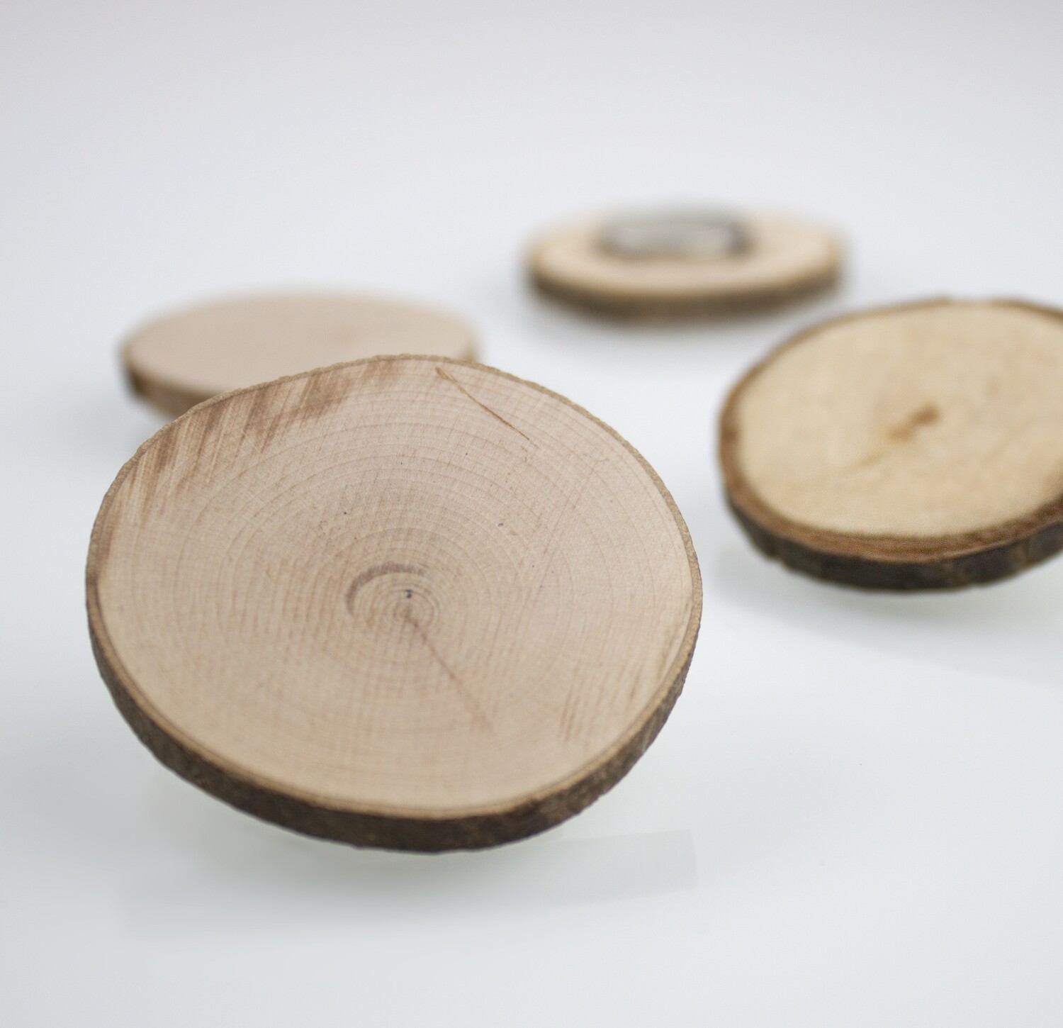 Magnetholzscheibe