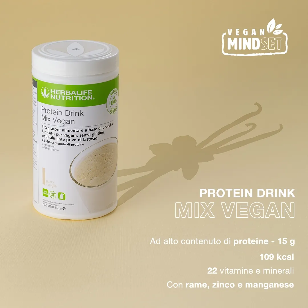 Protein Drink Mix Vegan 560 GR
