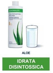 Aloe concentrato alle erbe gusto mango 473 ml