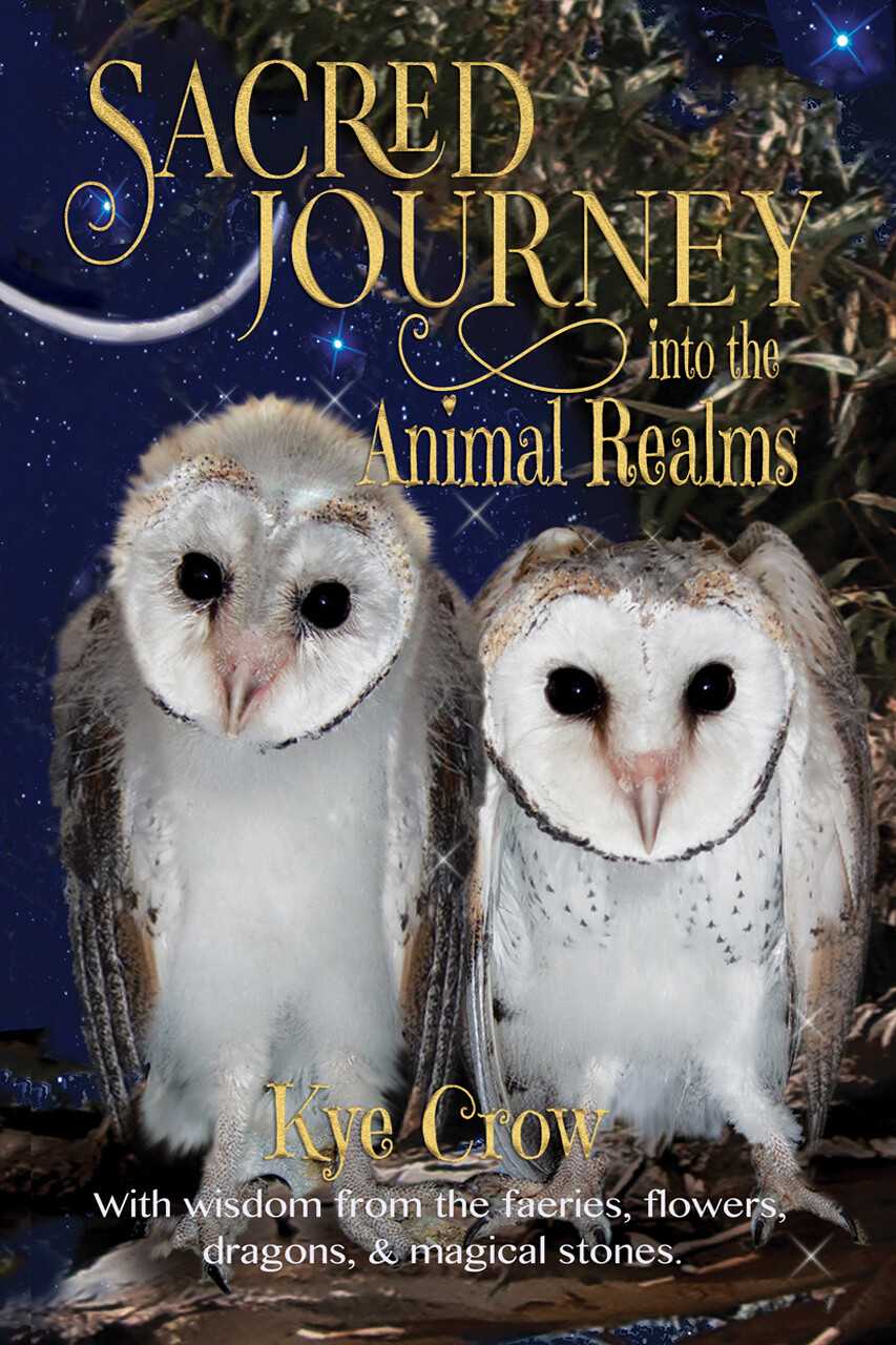 Sacred Journey into the Animal Realms