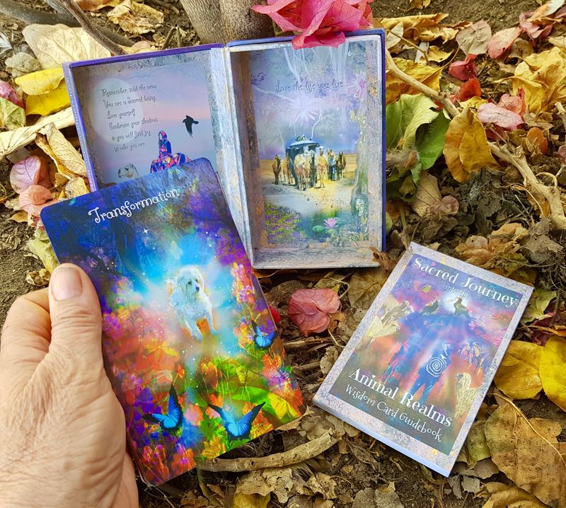 8 LAST boxes left of these DIVINE gold edged Sacred Journey into the Animal Realms 55 Wisdom Cards-