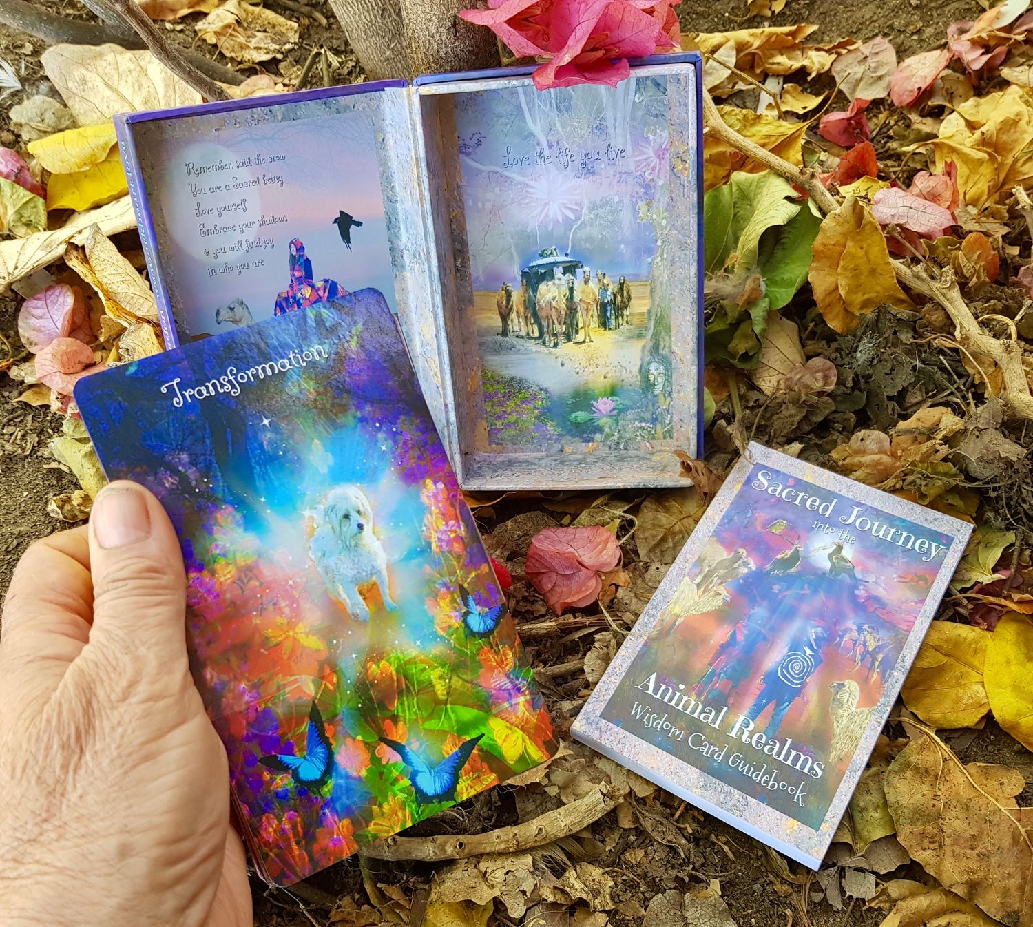 2 LAST boxes left of these DIVINE gold edged Sacred Journey into the Animal Realms 55 Wisdom Cards