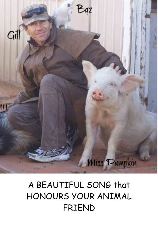 A beautiful song created for you that honours your bereaved pet