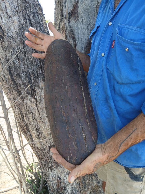 Min Min- Spirit of Mulga Sale was $220. Beautiful carved Mulga bowl for fruit or Holy Treasures.