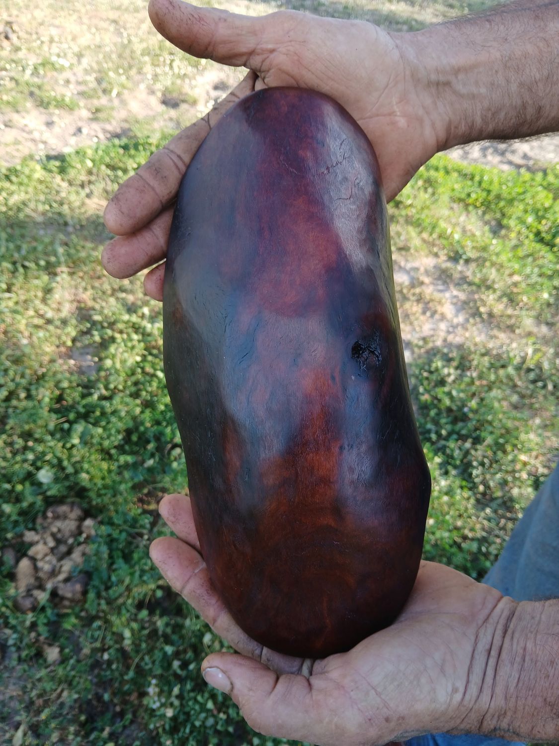 Holy Harvest offering Bowl - beautiful grain, carved wooden MULGA bowl