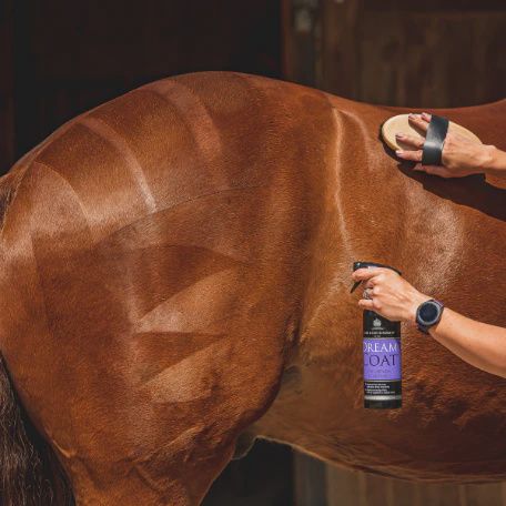 Dream Coat Ultimate Coat Finish