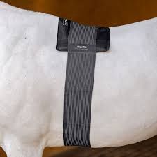 Gel Compression Hot/Cold Therapy BackPack