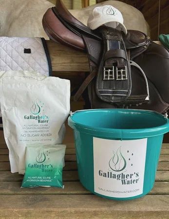 Gallagher's Water Teal Bucket