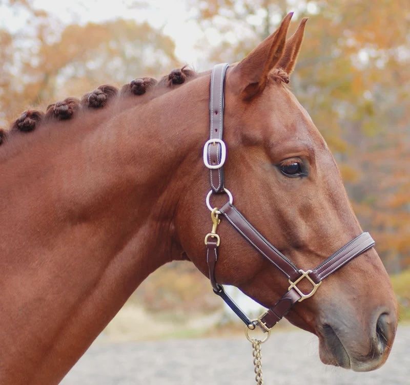 Red Barn Lainie Halter, Size: Pony