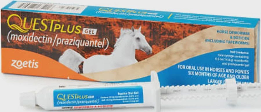 Quest Plus Gel Horse Dewormer and Boticide