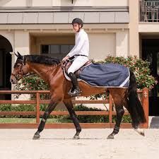 Amigo Ripstop Exercise Sheet, Accessory size: m