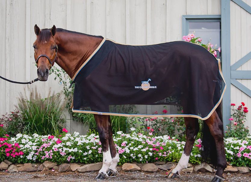 The Clothes Horse Scrim