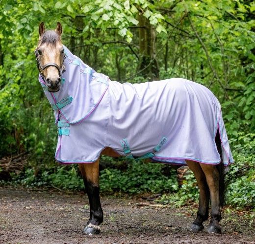 Amigo Pony Bug Rug, Color: Azure/White, Size: 63