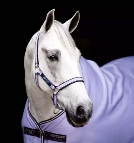 Amigo Halter by Horseware, Color: Pony, Size: Lavendar/Plu