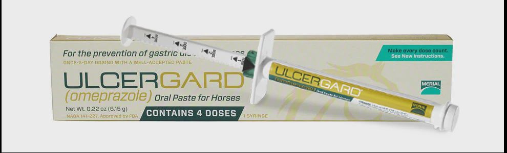 UlcerGuard Oral Paste