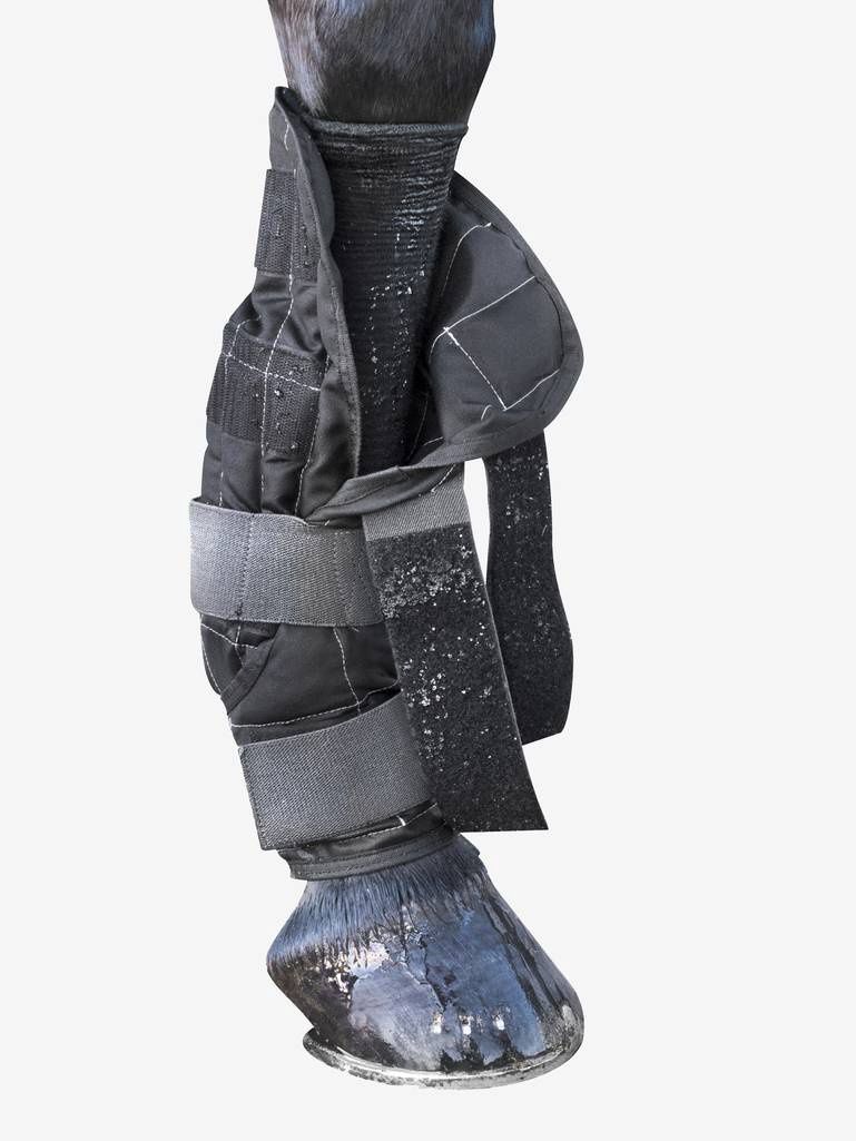 Cold Water Horse Boots by LeMieux