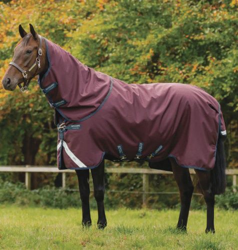 Amigo 1200D Plus Turnout 400g by Horseware