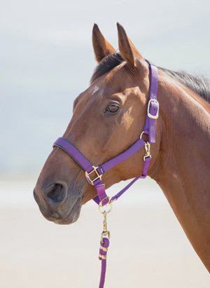 Topaz Nylon Breakaway Halter by Shires