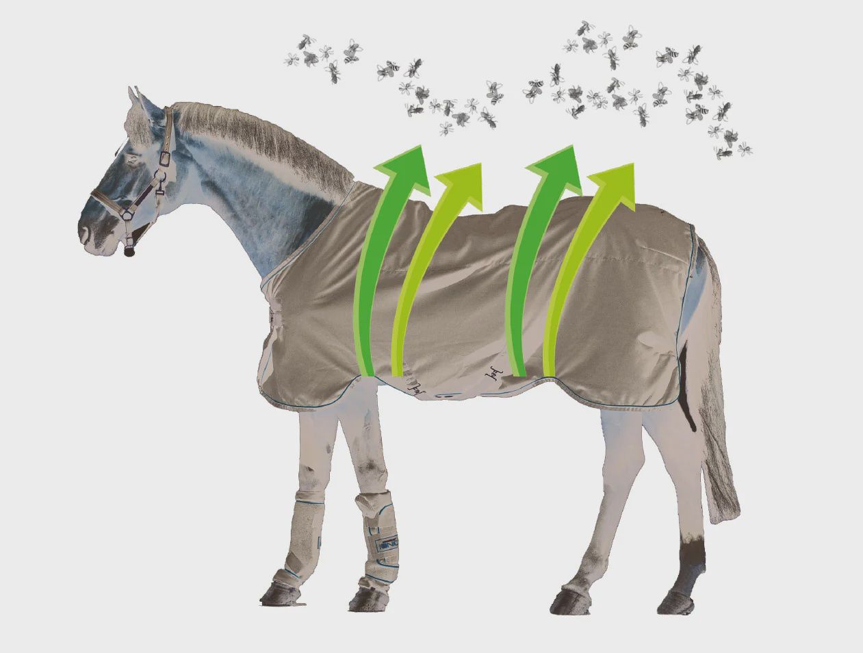 Amigo Bug Buster Flysheet by Horseware