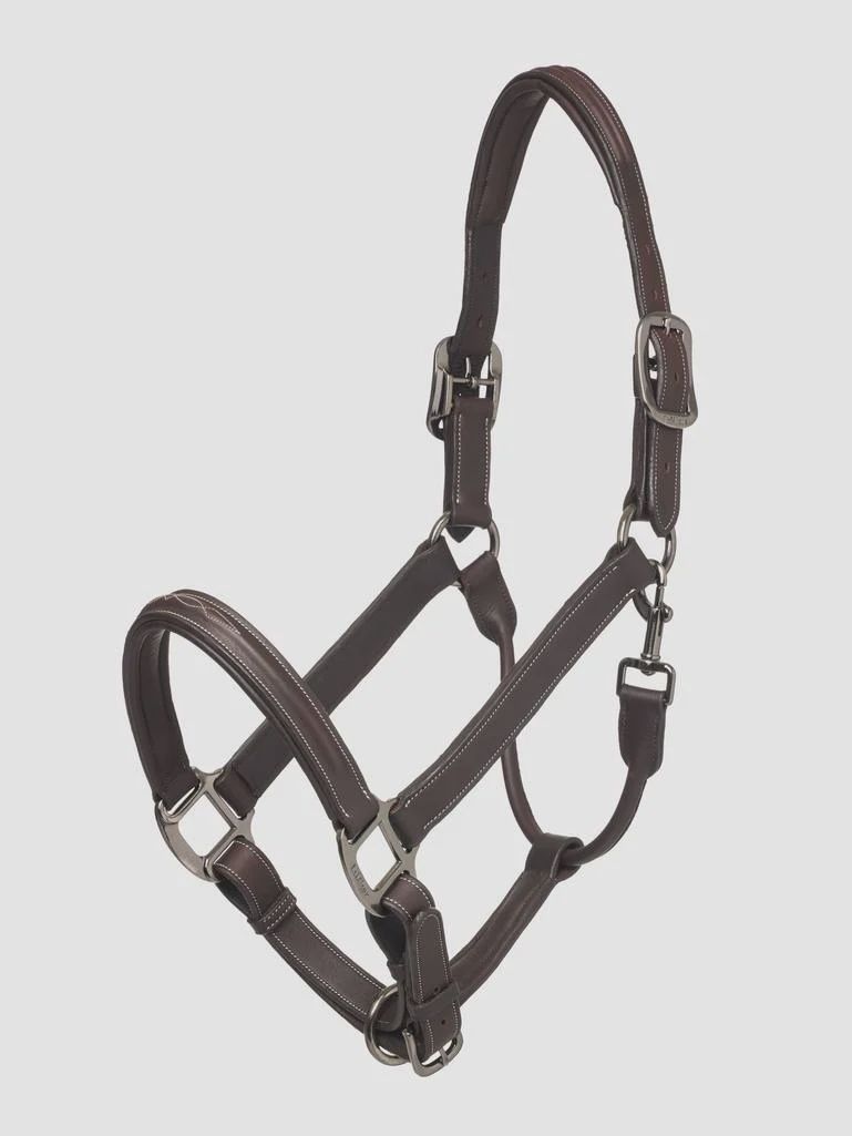 Stitched Hunter Halter by LeMieux
