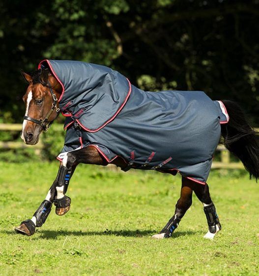 Amigo Bravo 12 Plus Medium Turnout, Color: navy, Size: 66", Weight: 250g