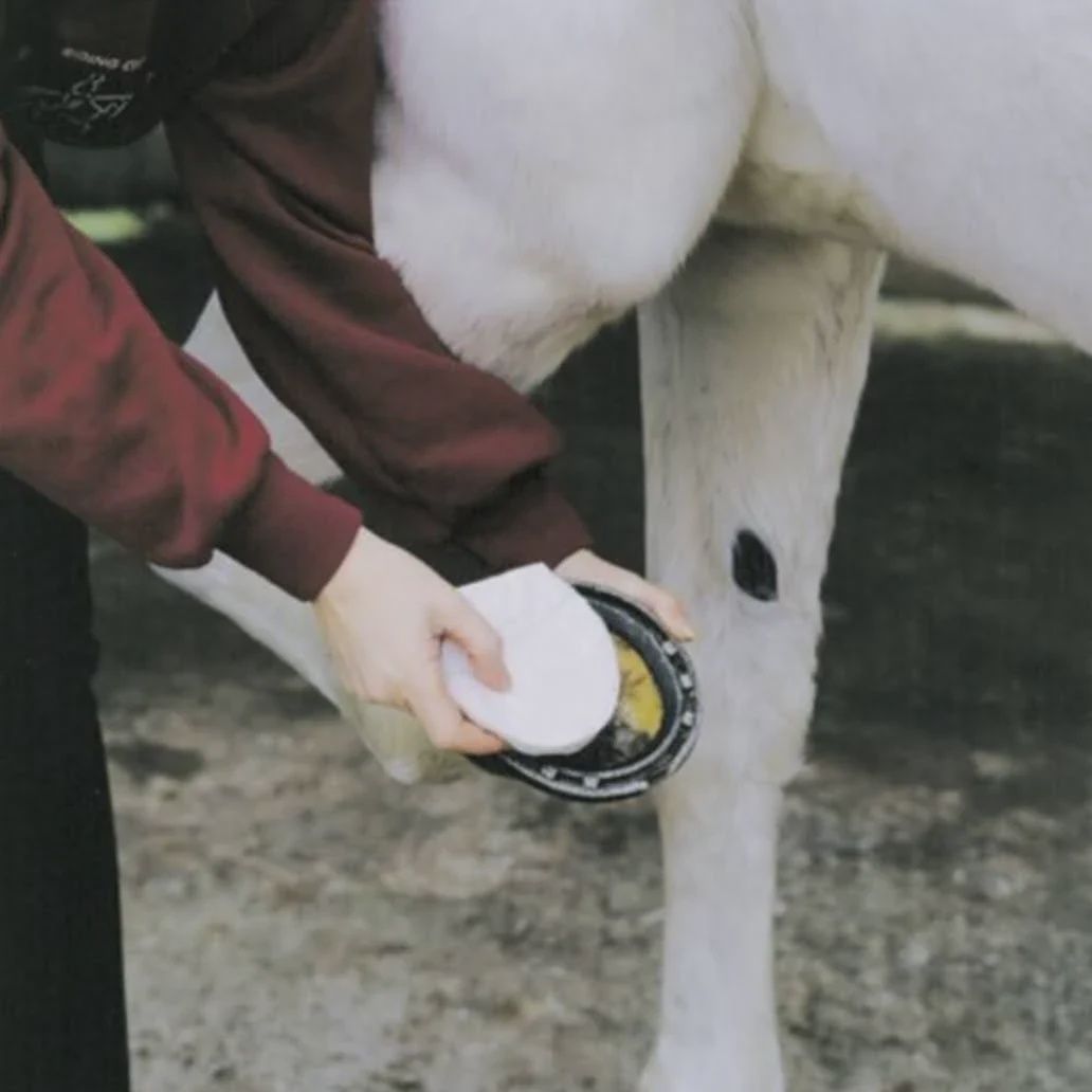 Animalintex Poultice by 3M