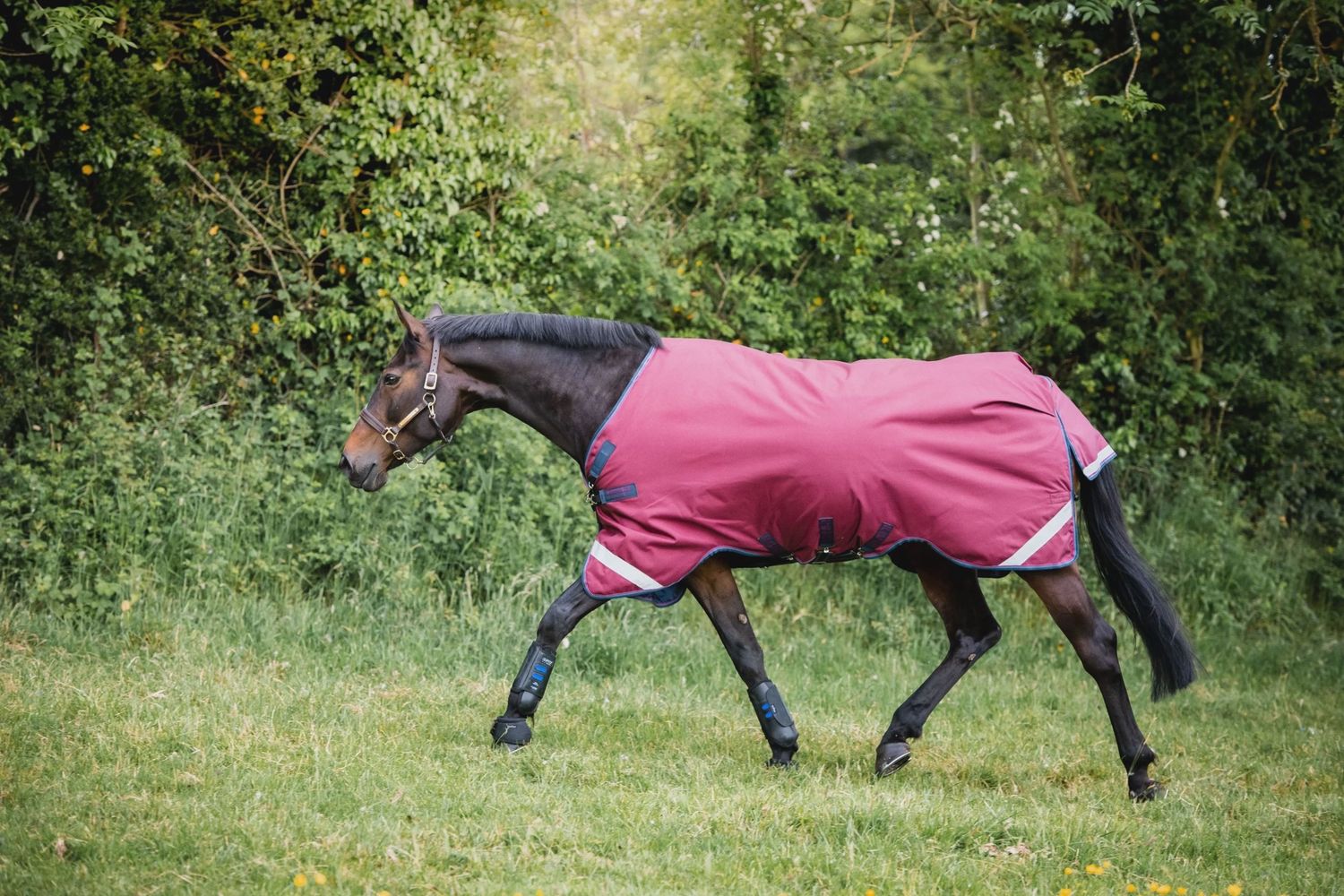 Rambo Original with Leg Arches 0g Turnout Sheet, Color: Burg/Burg Navy/Teal, Size: 69"