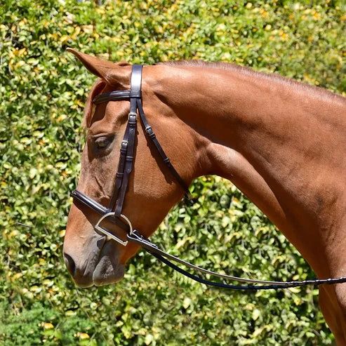 Fairhaven Padded Fancy Stitched Bridle w/ Reins, Size: Cob