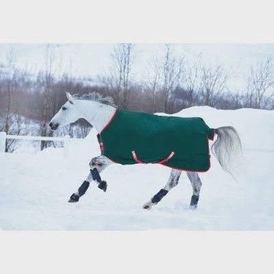 Rambo Original Heavy 400g, Color: 81", Size: Green/Red