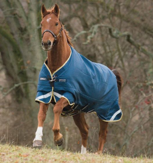 Rambo Original with Leg Arches 100g Turnout, Color: Blue/Lime/Mustard, Size: 69"