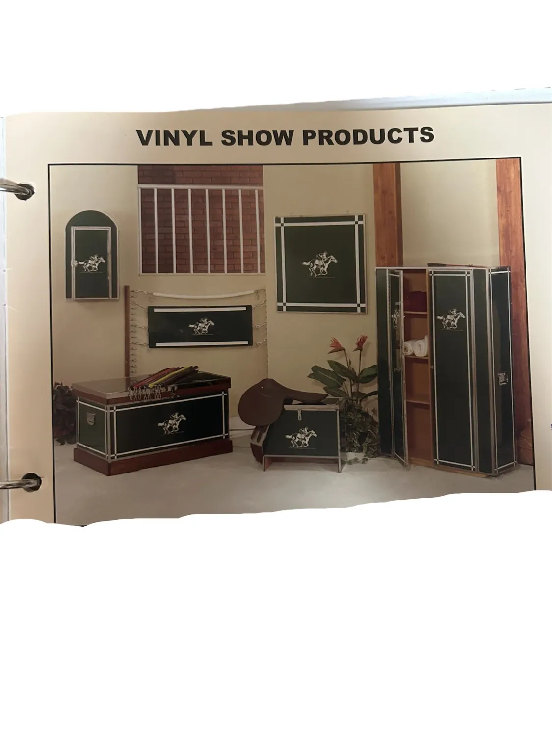 Phoenix West Vinyl Trunk