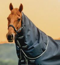 Amigo 1200D XL Turnout Hood 150g, Size: L