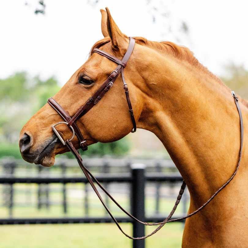 TackHack Hunter Bridle with Laced Reins, Style: Classic