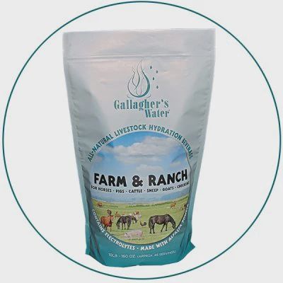 Gallagher's Water
