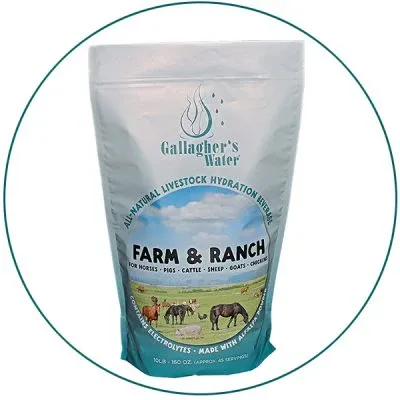 Gallagher's Water