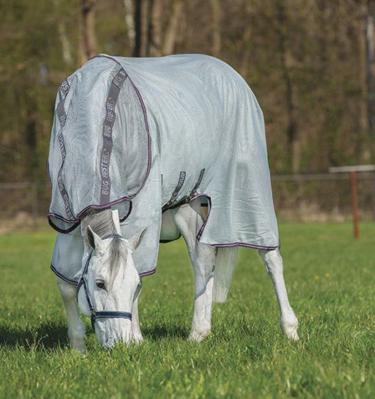 Amigo Bug Buster Vamoose with No Fly Zone by Horseware, Color: Silver/ Blue, Size: 66