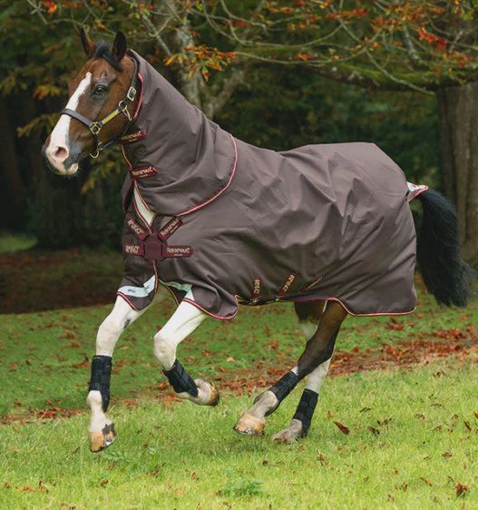 Amigo® Bravo 12 Plus w/ Front Disc Closure (Lite) by Horseware, Color: Brown/Red/Gold, Size: 78
