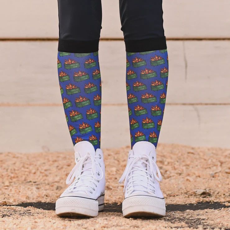 Dreamers and Schemers Adult Pair and A Spare Socks