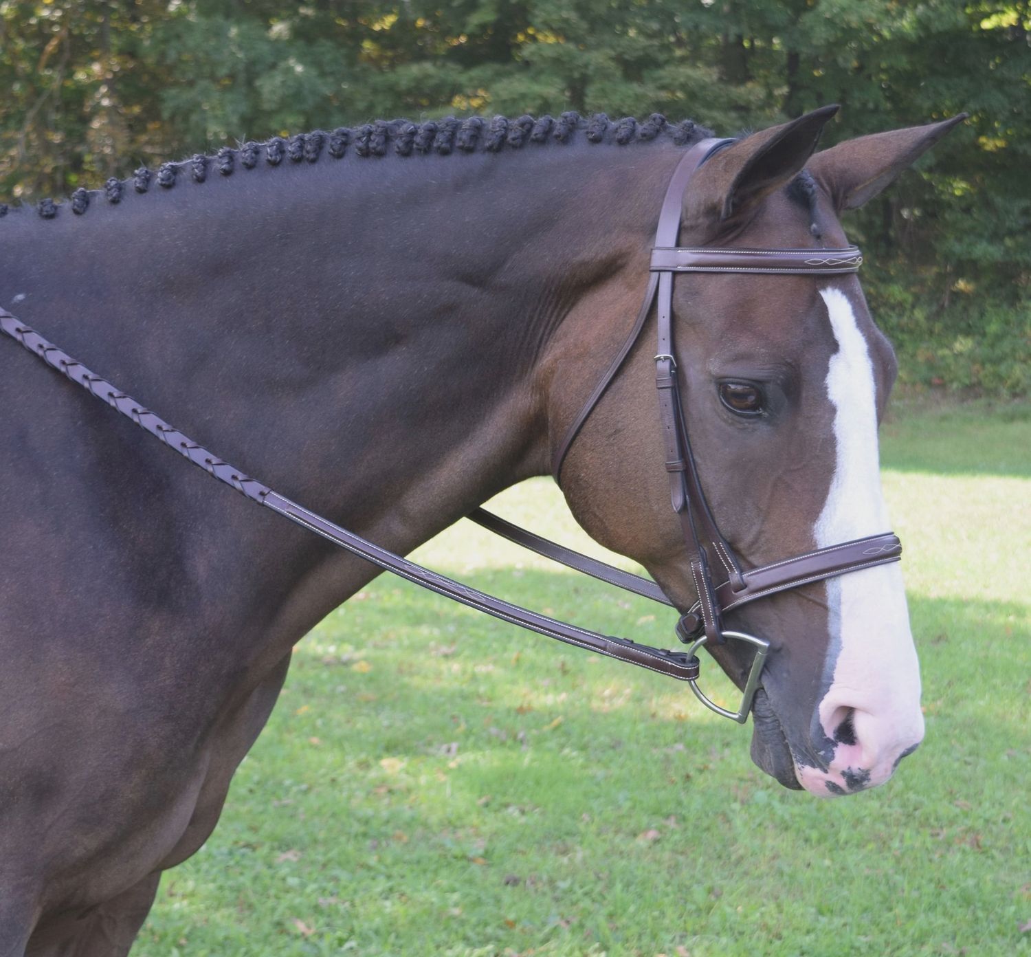 Black Oak Spruce Hunter Bridle, Color: Brown, Size: Cob