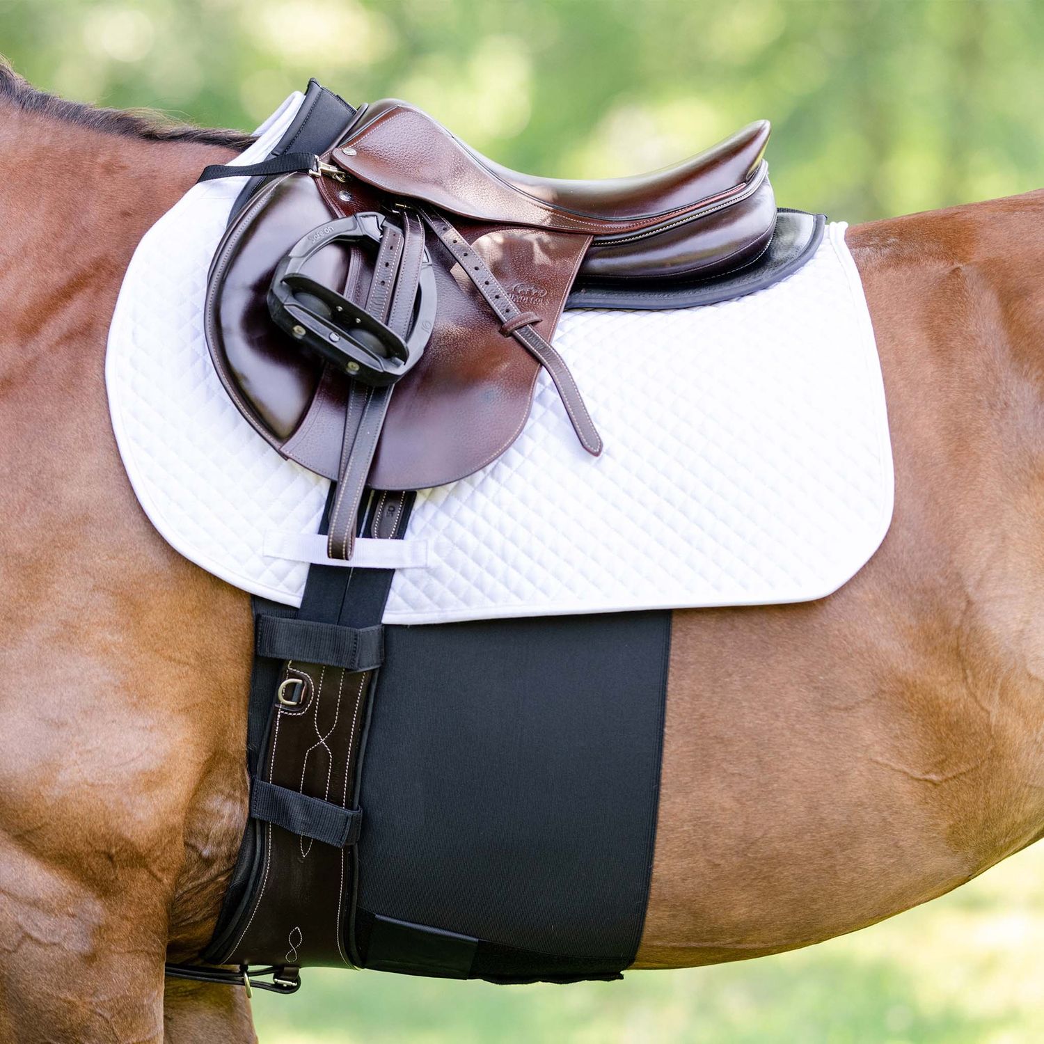 BellyBand Plus by Equifit, Color: Black, Size: Horse