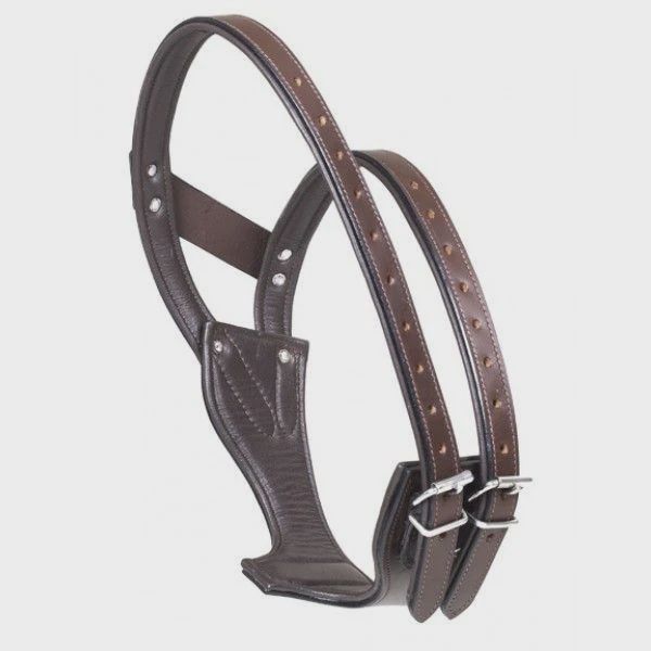 Centaur Padded AntiCrib Collar, Size: Large