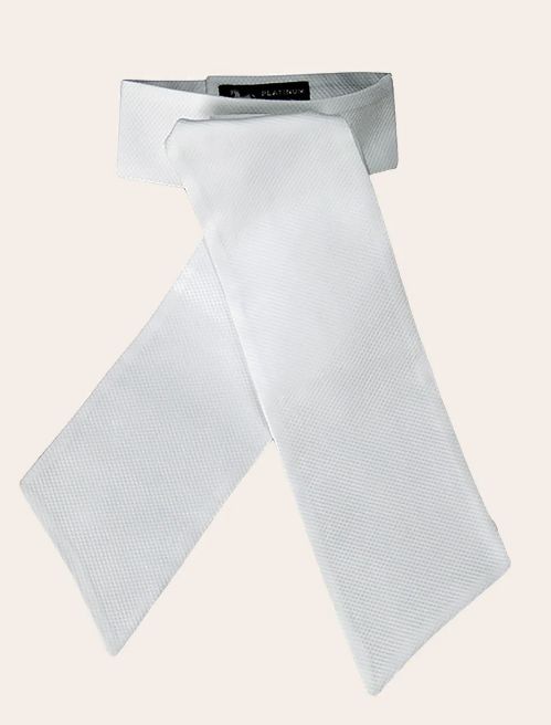 Radnor Traditional Stock Tie