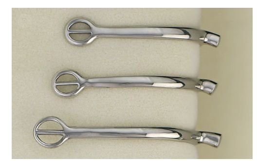 Centaur® Stainless Steel Tom Thumb Spur
