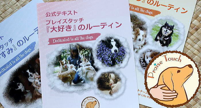 【IAALP公認プレイズタッチ・パートナーズ・セミナー】