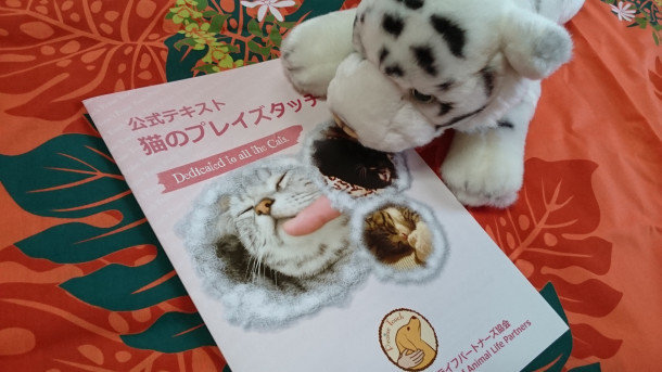 IAALP公認プレイズタッチ・パートナーズ for Cat